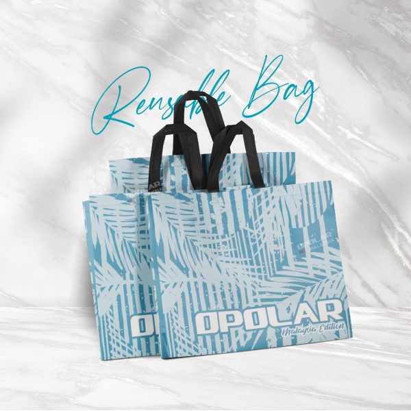 reusable_bag_content__1_
